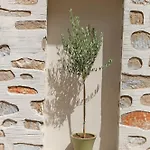Oliva Ermoupoli